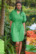 Load image into Gallery viewer, COOP by Trelise Cooper - Lace To The Back Dress - GREEN