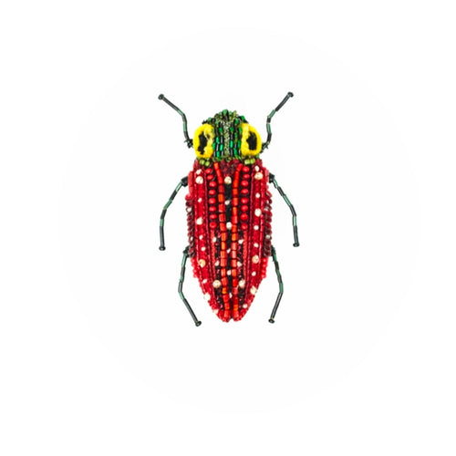 TROVELORE - False Eye Beetle Brooch