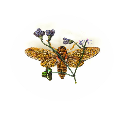 TROVELORE - Golden Cicada Brooch
